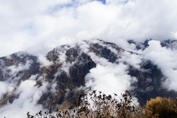 Découvrez des Recettes Inoubliables pour Vos Aventures en Camping